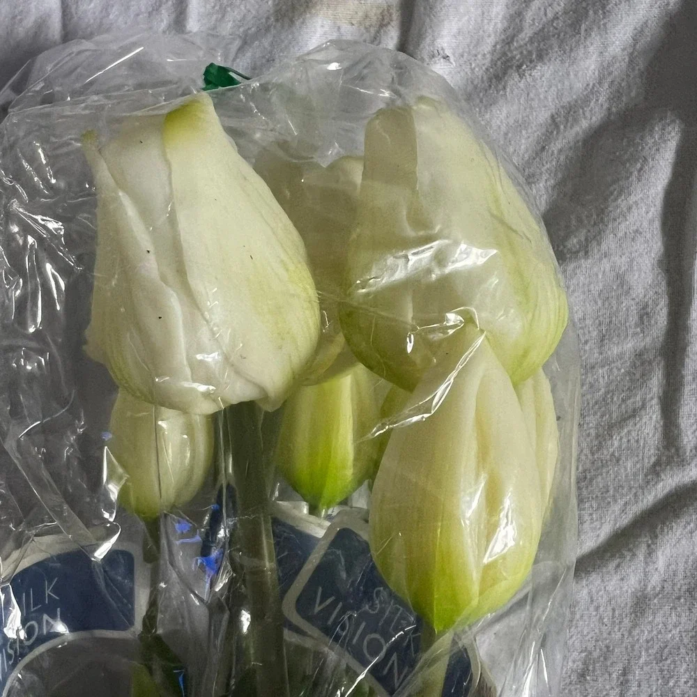 Bachman's Silk Vision Artificial Tulips Unisex OS Cream White Brand New Floral